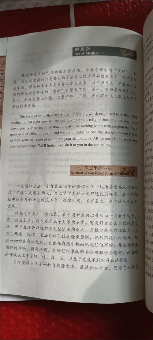 Chinese Kung Fu: Shaolin Child's Skill