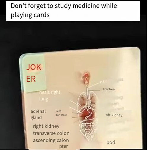 Human body sectioned playing cards