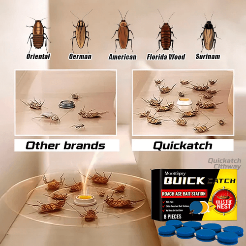 Clearance Sale - Limited Time Offer ! - Roach Ace Bait Station