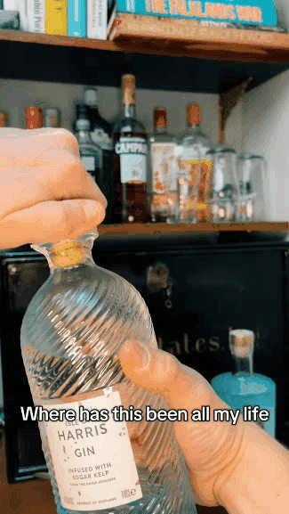 ✨3 Color Rechargeable LED Bottle Lights🥃