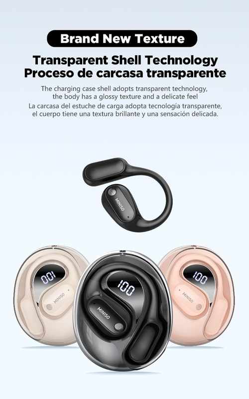 Translation Earbuds