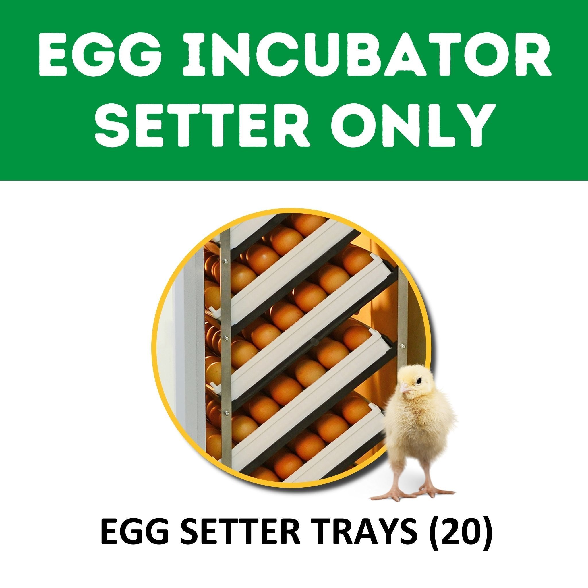 HB700 S - Egg Incubator - Setter Cimuka | Hatching Time