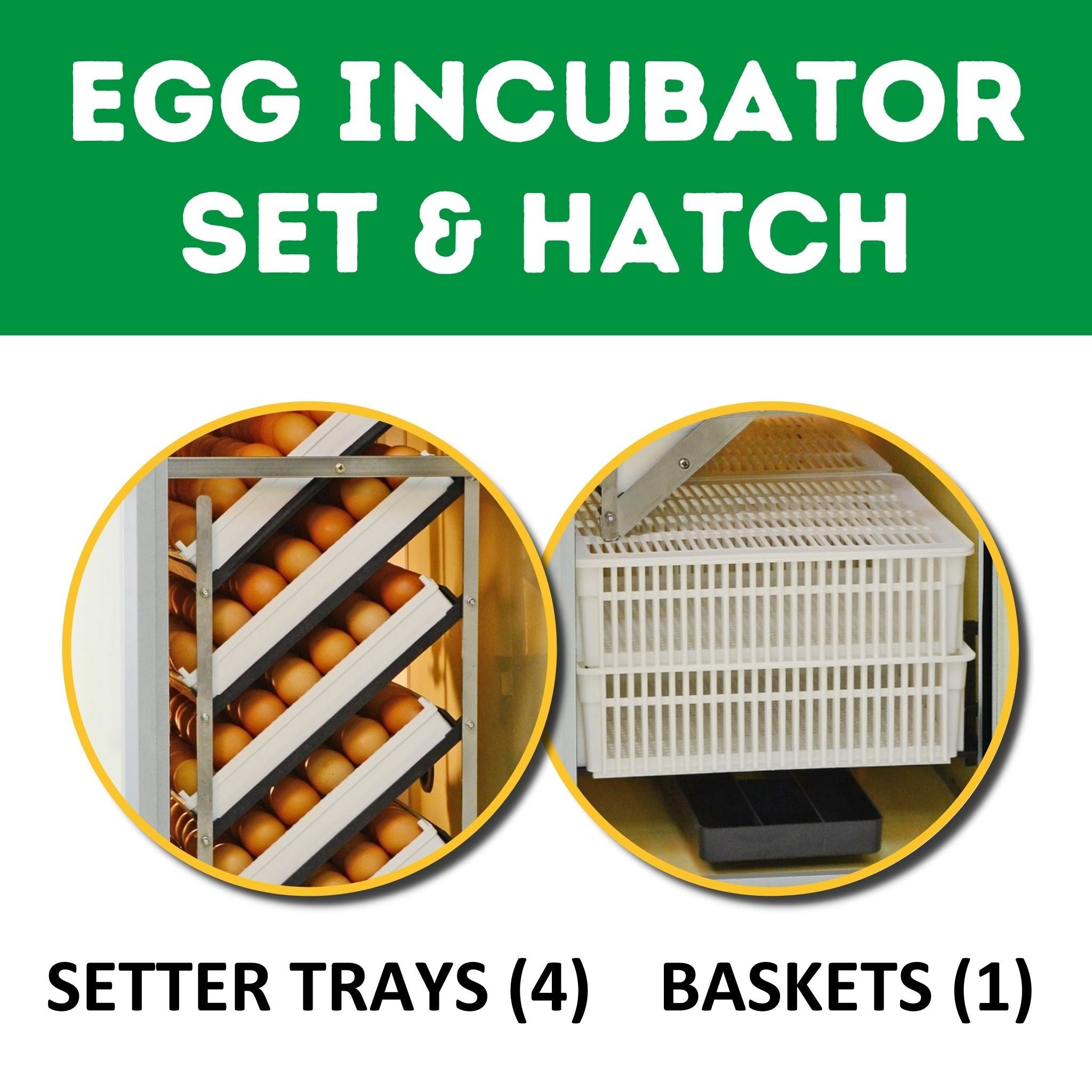 HB175 C - Egg Incubator - Setter & Hatcher Cimuka | Hatching Time