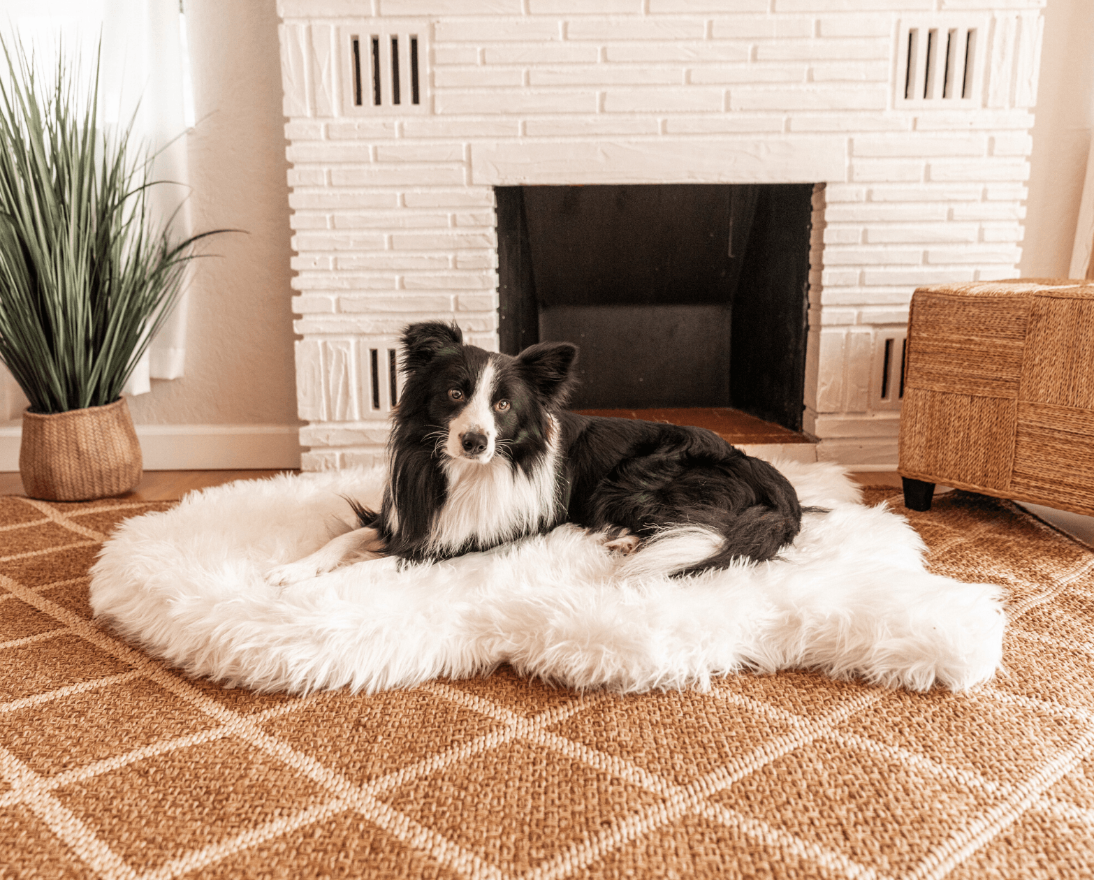 PupRug by Paw.com™ Faux Fur Orthopedic Dog Bed - Curve Polar White