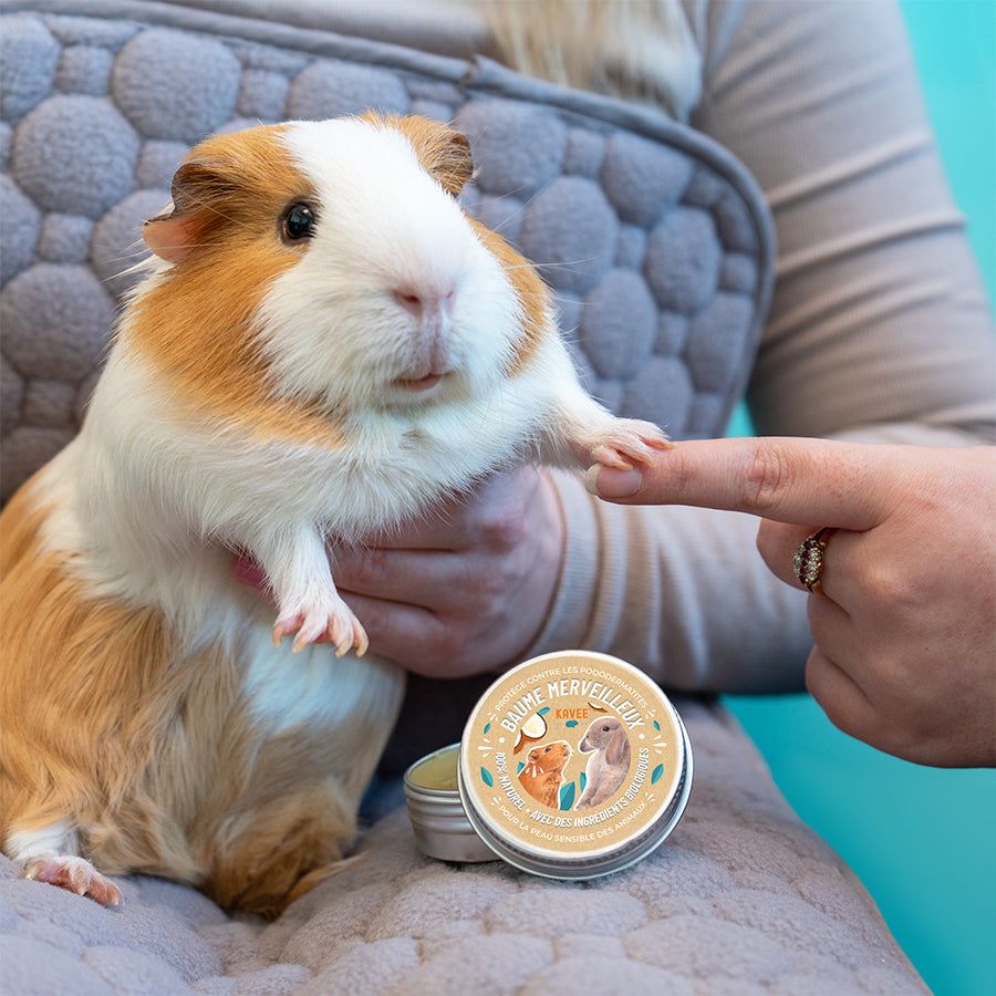 Baume Merveilleux | Baume Nourrissant pour Petits Animaux de Compagnie