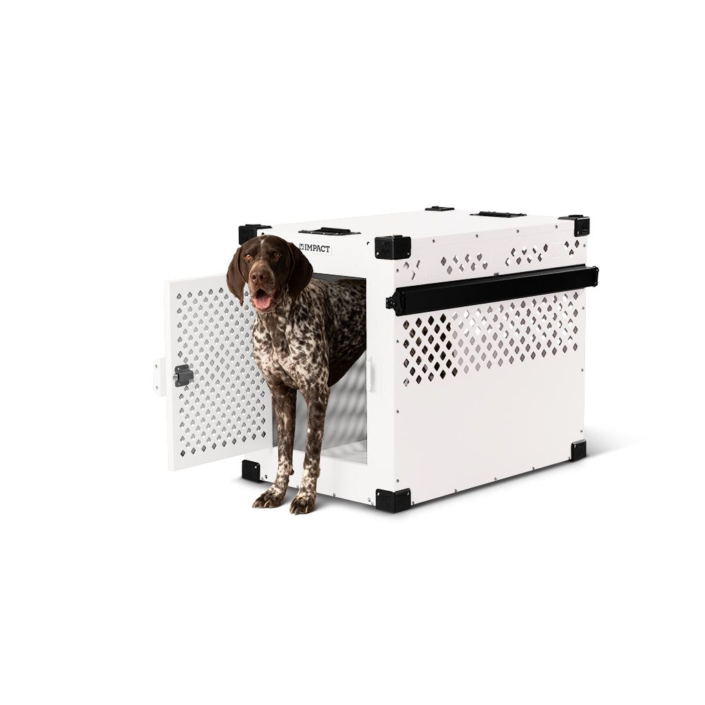 Stationary Dog Crate | Impact Dog Crates