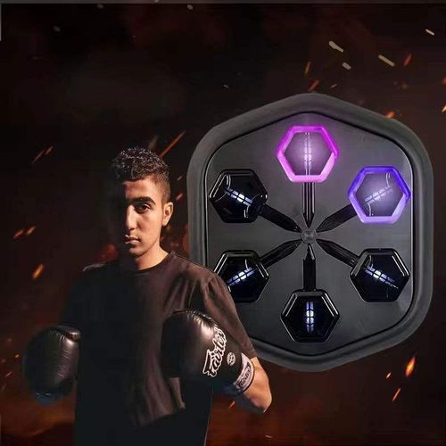 High Quality Smart Music Adult Boxing Wall Target Gym Use Training Machine