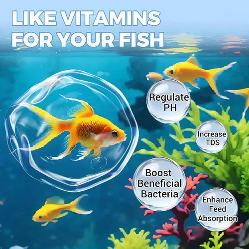 💥BIG SALE !!💧Powerful Aquarium Water Purification Tablet