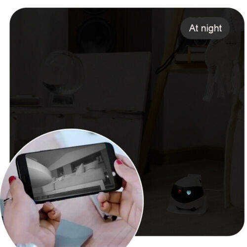 Mobile monitoring robot camera