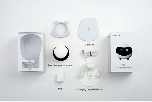 Mobile monitoring robot camera