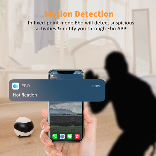 Mobile monitoring robot camera