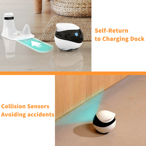 Mobile monitoring robot camera