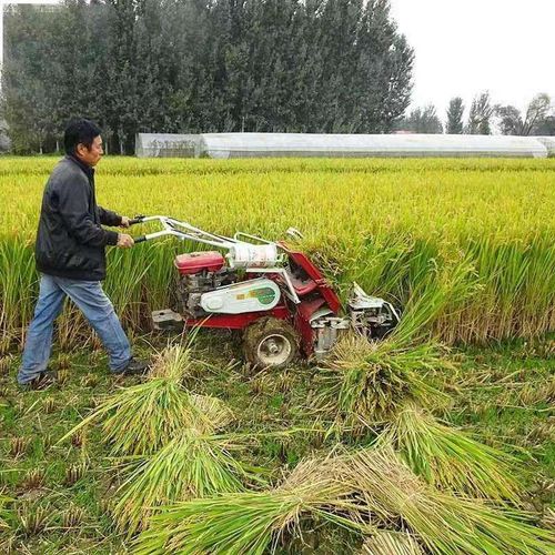 Hand held self-propelled harvesting and bundling machine