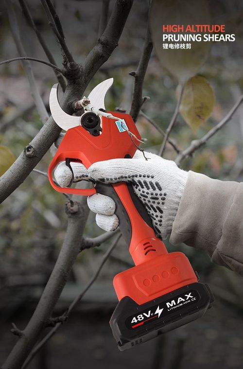 Lithium battery pruning shears
