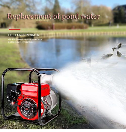 Diesel pumping pump