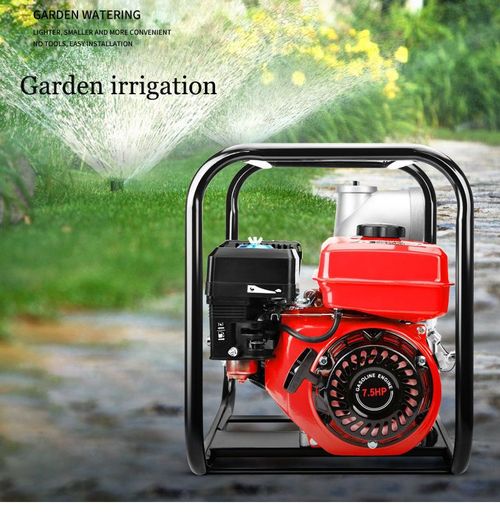 Diesel pumping pump