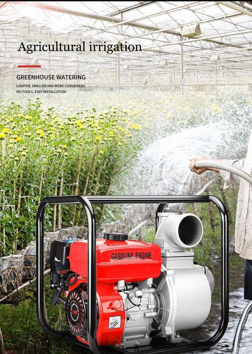Diesel pumping pump