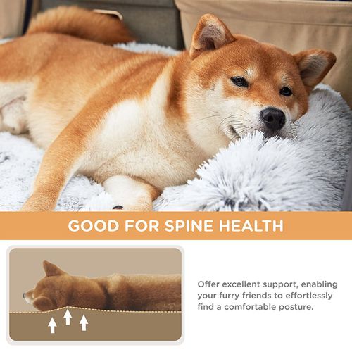 Luxury best-selling extra-large bed for humans and dogs