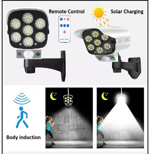 Solar Motion-Sensing Wall Light