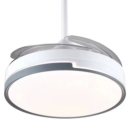 Ceiling fan light for living room