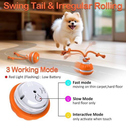 Your Dog Destroyed Another Shoe Because He's Bored – This Bird‑Sound Ball Keeps Him Hunting for Hours