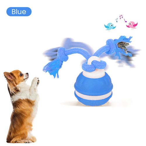Your Dog Destroyed Another Shoe Because He's Bored – This Bird‑Sound Ball Keeps Him Hunting for Hours