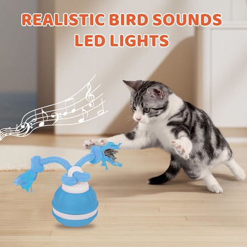 Your Dog Destroyed Another Shoe Because He's Bored – This Bird‑Sound Ball Keeps Him Hunting for Hours