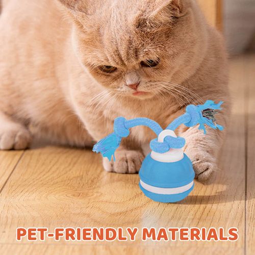 Your Dog Destroyed Another Shoe Because He's Bored – This Bird‑Sound Ball Keeps Him Hunting for Hours