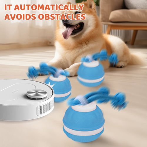 Your Dog Destroyed Another Shoe Because He's Bored – This Bird‑Sound Ball Keeps Him Hunting for Hours