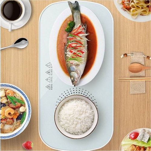 Multifunctional Intelligent Constant Temperature Food Warming Tray