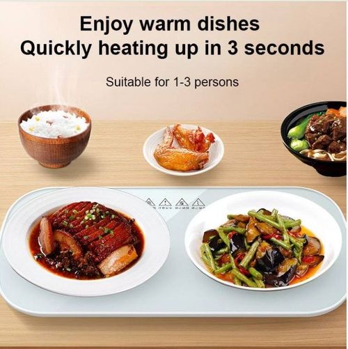 Multifunctional Intelligent Constant Temperature Food Warming Tray