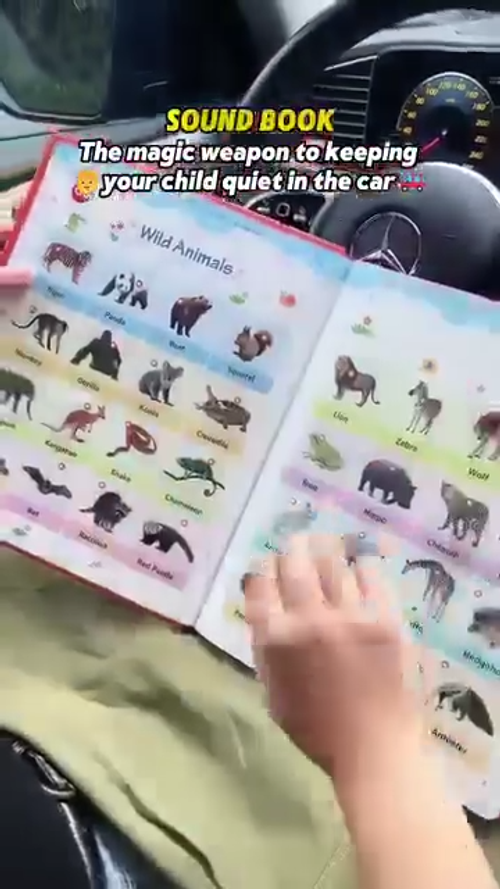 🔥🔥Toddler 1-6 Year Old | My First English Sound Toy