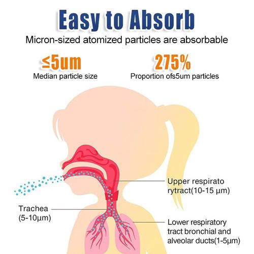 Portable Home Nebulizer — Universal High-Efficiency Nebulizer for Adults and Children