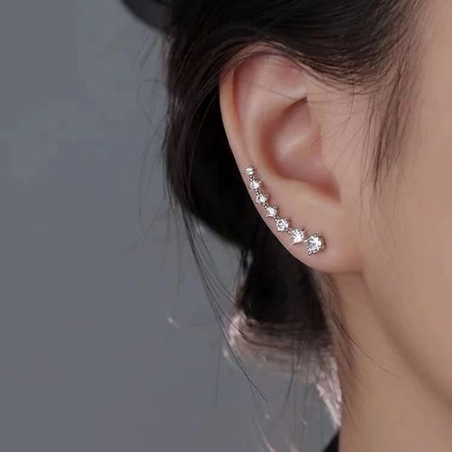 Simple but not simple, a row of high-gloss zircon earrings for women, light luxury and high-end earrings ins style
