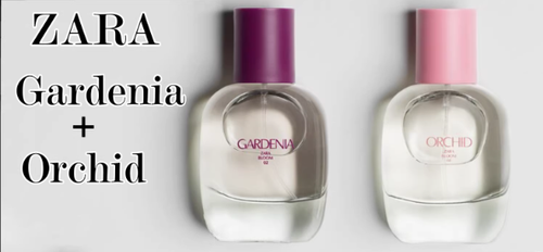 ZARA GARDENIA+ORCHID颯拉女士梔子花濃香水+蘭花濃香水套裝 現貨