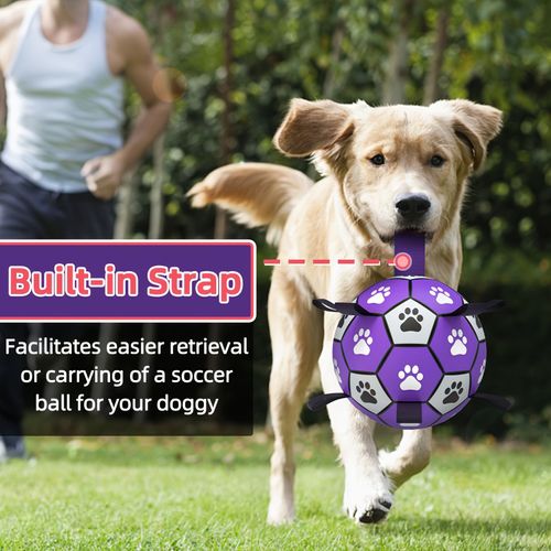 Dog spherical toy