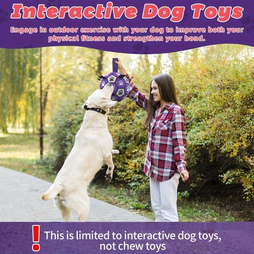 Dog spherical toy