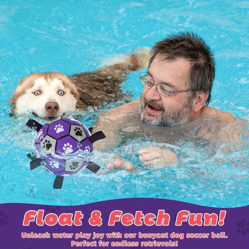 Dog spherical toy