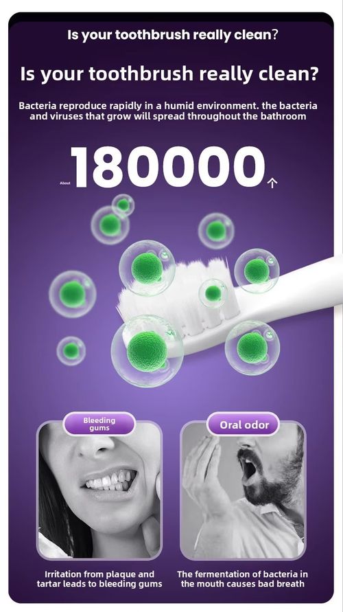 Wall Mounted Rechargeable UV Toothbrush Sterilizer