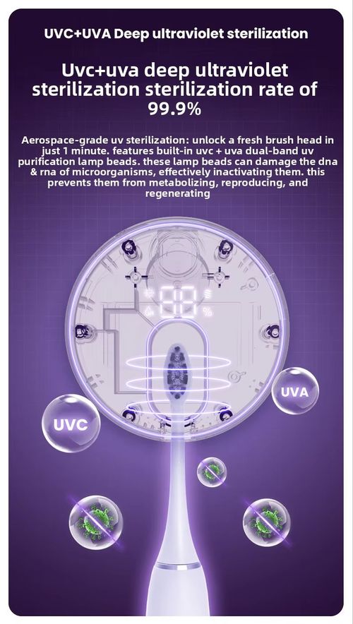 Wall Mounted Rechargeable UV Toothbrush Sterilizer