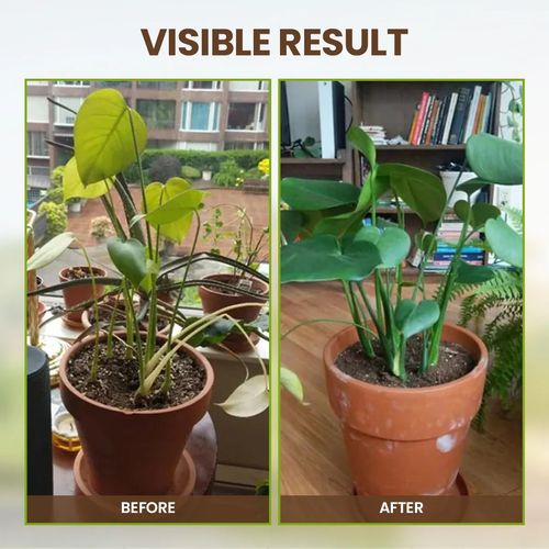 py🌱 Soil Activator for Healthier Soil and Stronger Plant Growth