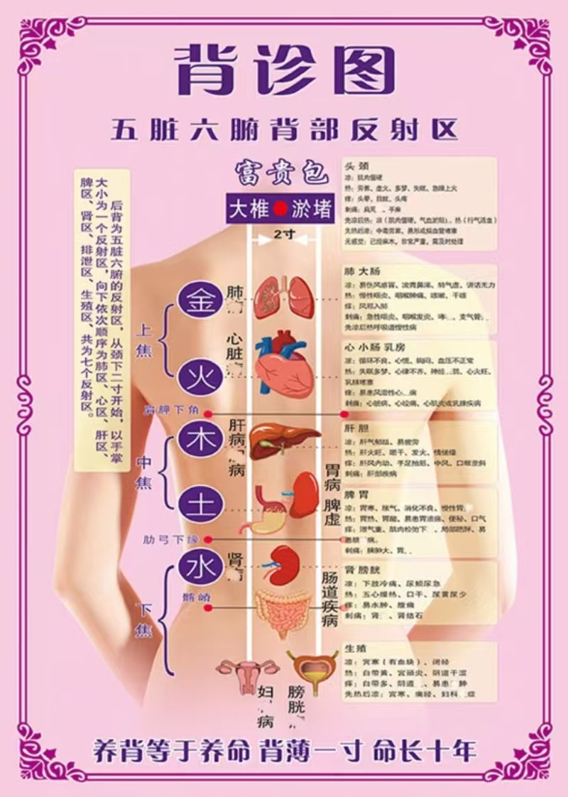 红外线坐灸仪   身体疗愈  消除水肿  消耗脂肪  瘦身减肥  疏通淤堵  消散疲劳  Body healing   elimination of edema  consumption of fat   weight loss  dredging of blockages  and dissipation of fatigue