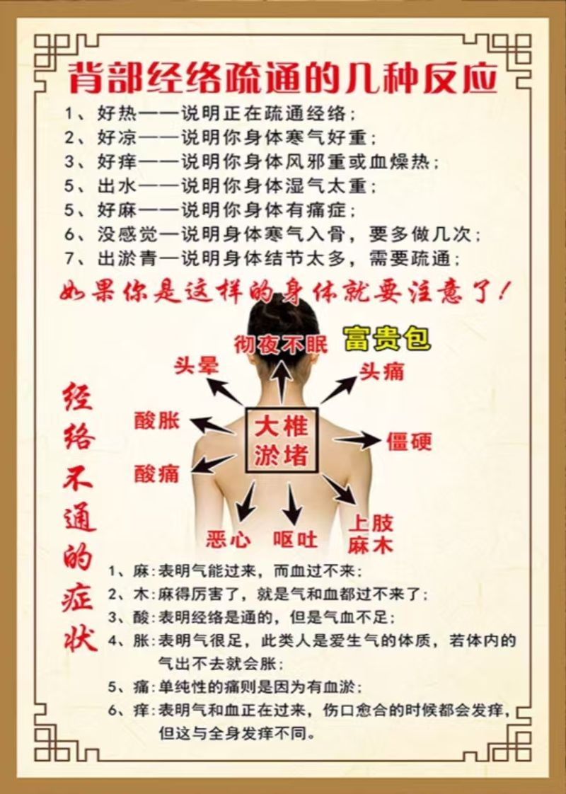 红外线坐灸仪   身体疗愈  消除水肿  消耗脂肪  瘦身减肥  疏通淤堵  消散疲劳  Body healing   elimination of edema  consumption of fat   weight loss  dredging of blockages  and dissipation of fatigue