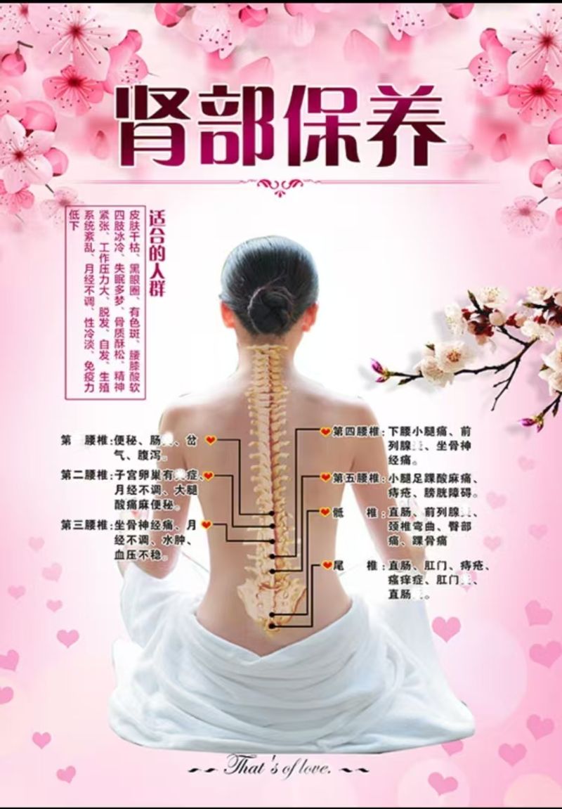红外线坐灸仪   身体疗愈  消除水肿  消耗脂肪  瘦身减肥  疏通淤堵  消散疲劳  Body healing   elimination of edema  consumption of fat   weight loss  dredging of blockages  and dissipation of fatigue