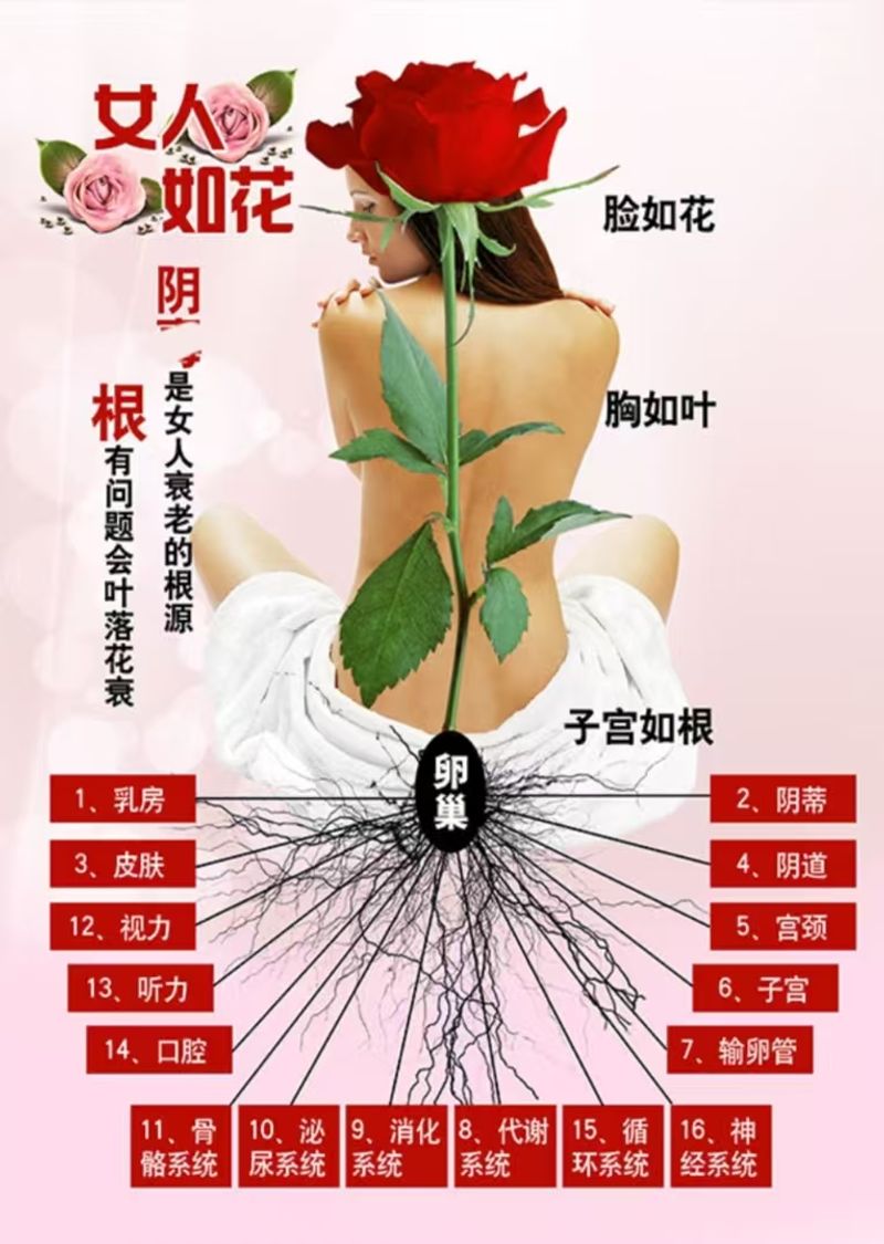 红外线坐灸仪   身体疗愈  消除水肿  消耗脂肪  瘦身减肥  疏通淤堵  消散疲劳  Body healing   elimination of edema  consumption of fat   weight loss  dredging of blockages  and dissipation of fatigue
