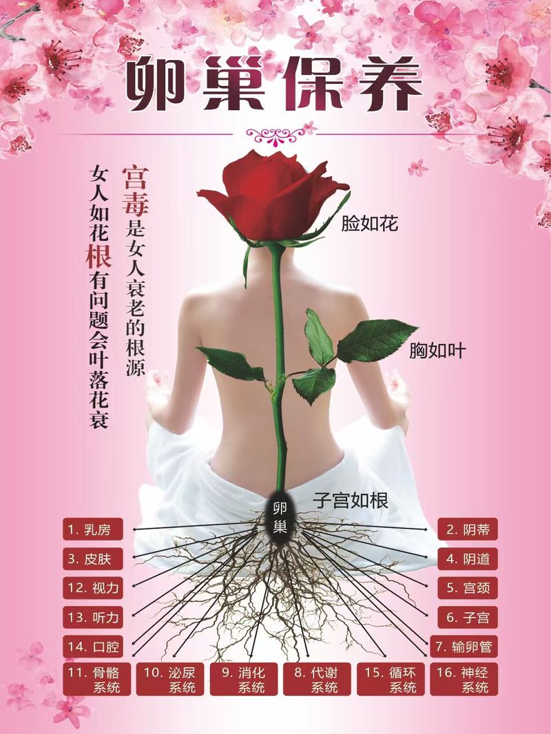 红外线坐灸仪   身体疗愈  消除水肿  消耗脂肪  瘦身减肥  疏通淤堵  消散疲劳  Body healing   elimination of edema  consumption of fat   weight loss  dredging of blockages  and dissipation of fatigue