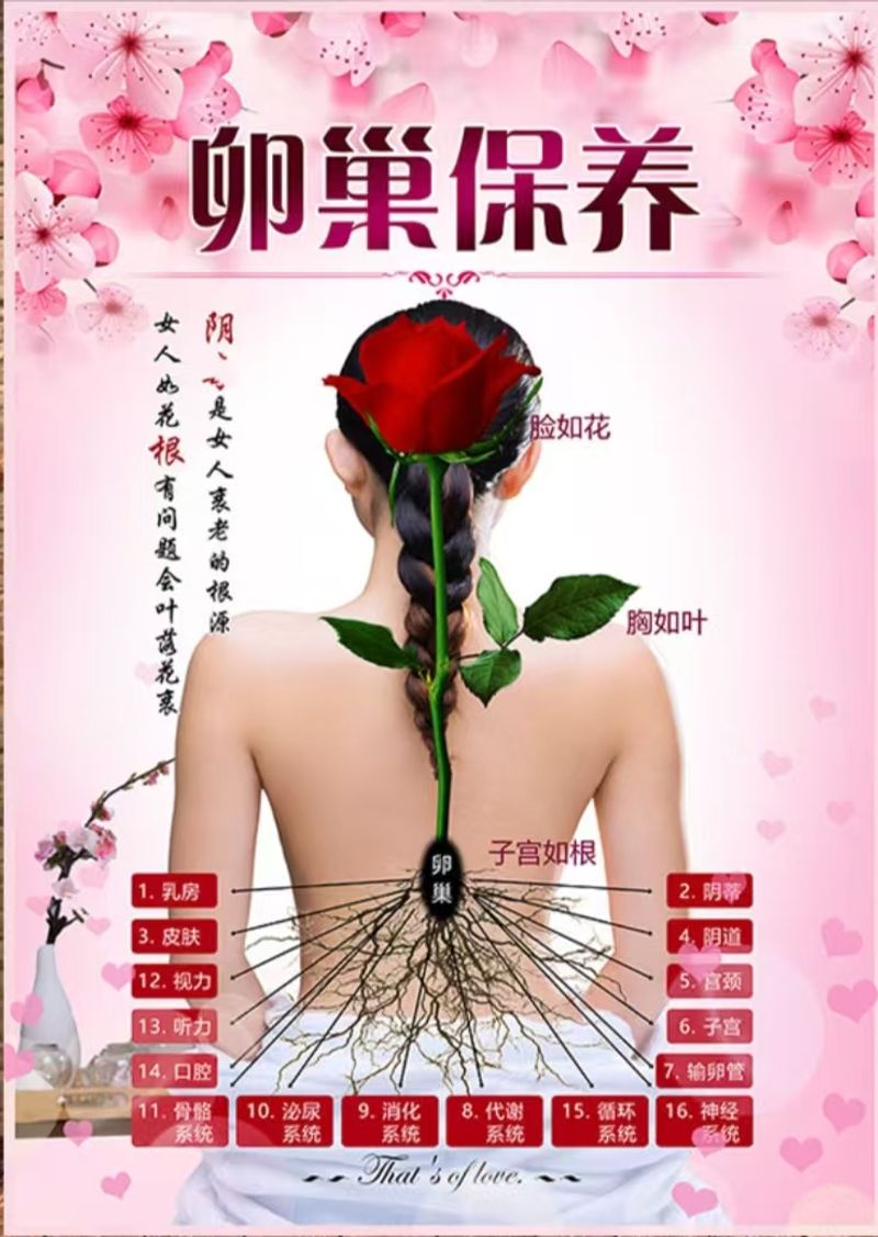 红外线坐灸仪   身体疗愈  消除水肿  消耗脂肪  瘦身减肥  疏通淤堵  消散疲劳  Body healing   elimination of edema  consumption of fat   weight loss  dredging of blockages  and dissipation of fatigue