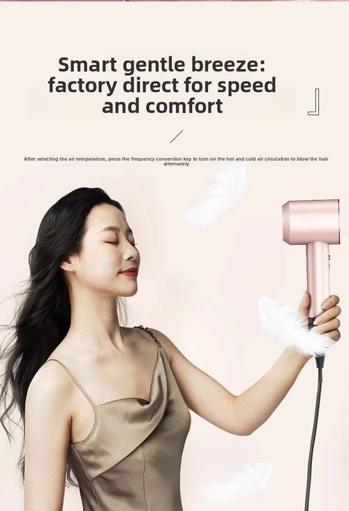 High Speed Bladeless Hair Dryer Negative Ion Constant Temperature Luxury Gift Set
