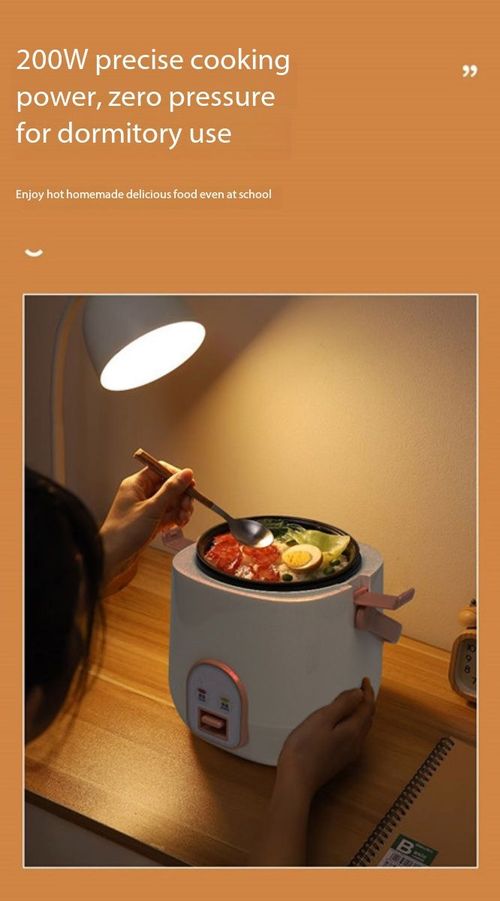 1.2L Portable Mini Rice Cooker Multi-Function Electric Pot for Home & Dorm
