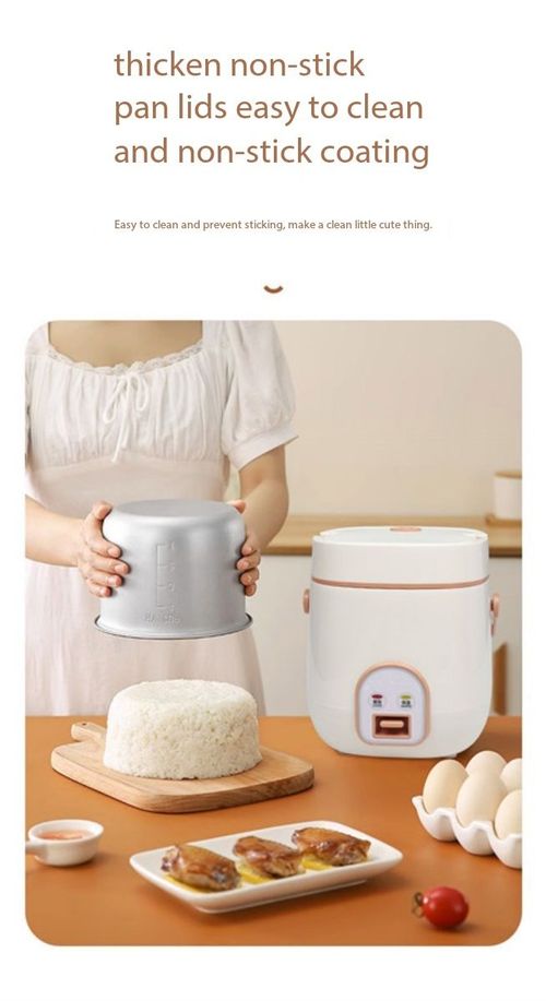 1.2L Portable Mini Rice Cooker Multi-Function Electric Pot for Home & Dorm